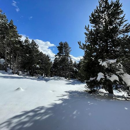 Joli Studio Pres De La Foret Font Romeu Exterior foto