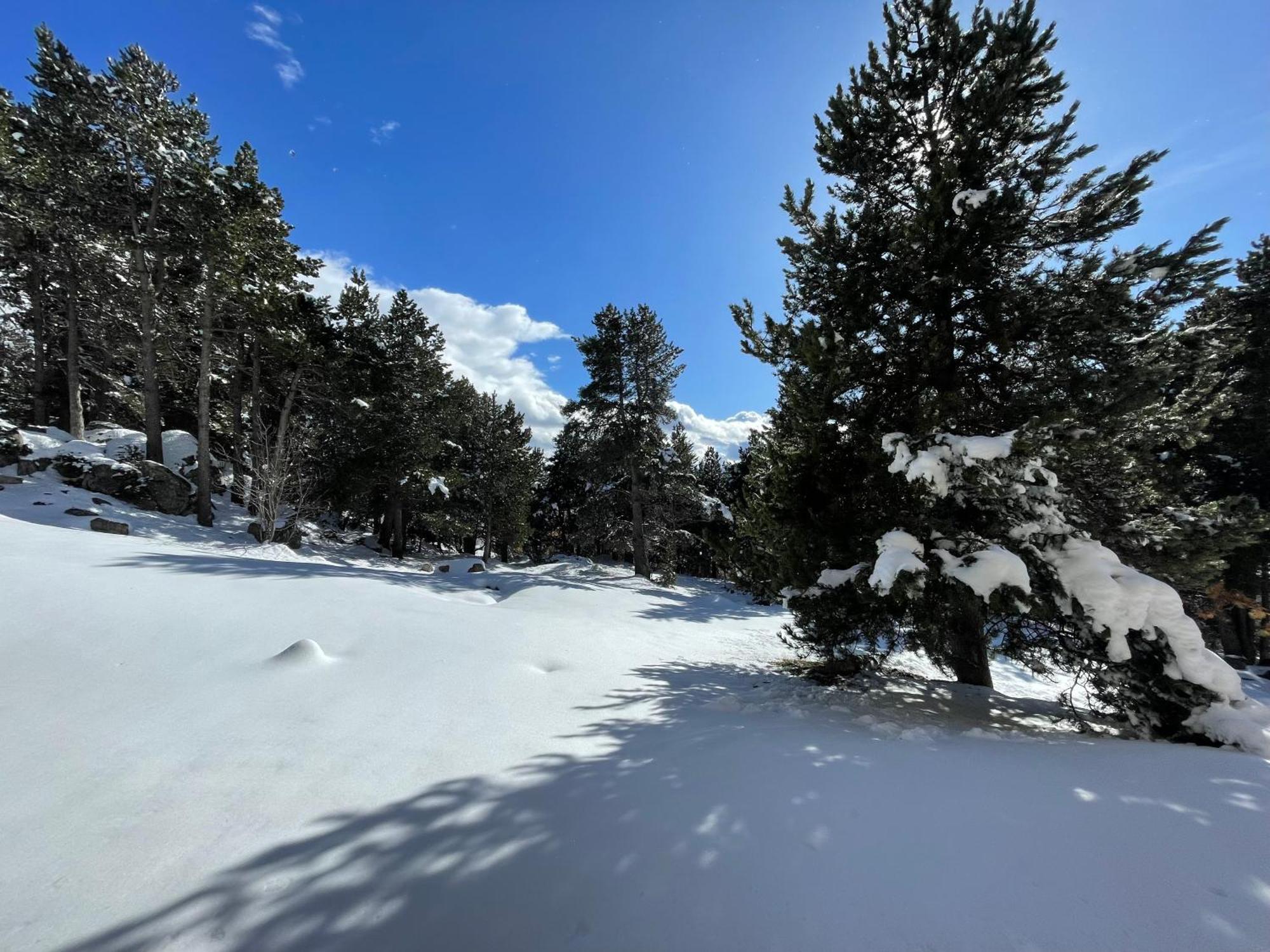 Joli Studio Pres De La Foret Font Romeu Exterior foto